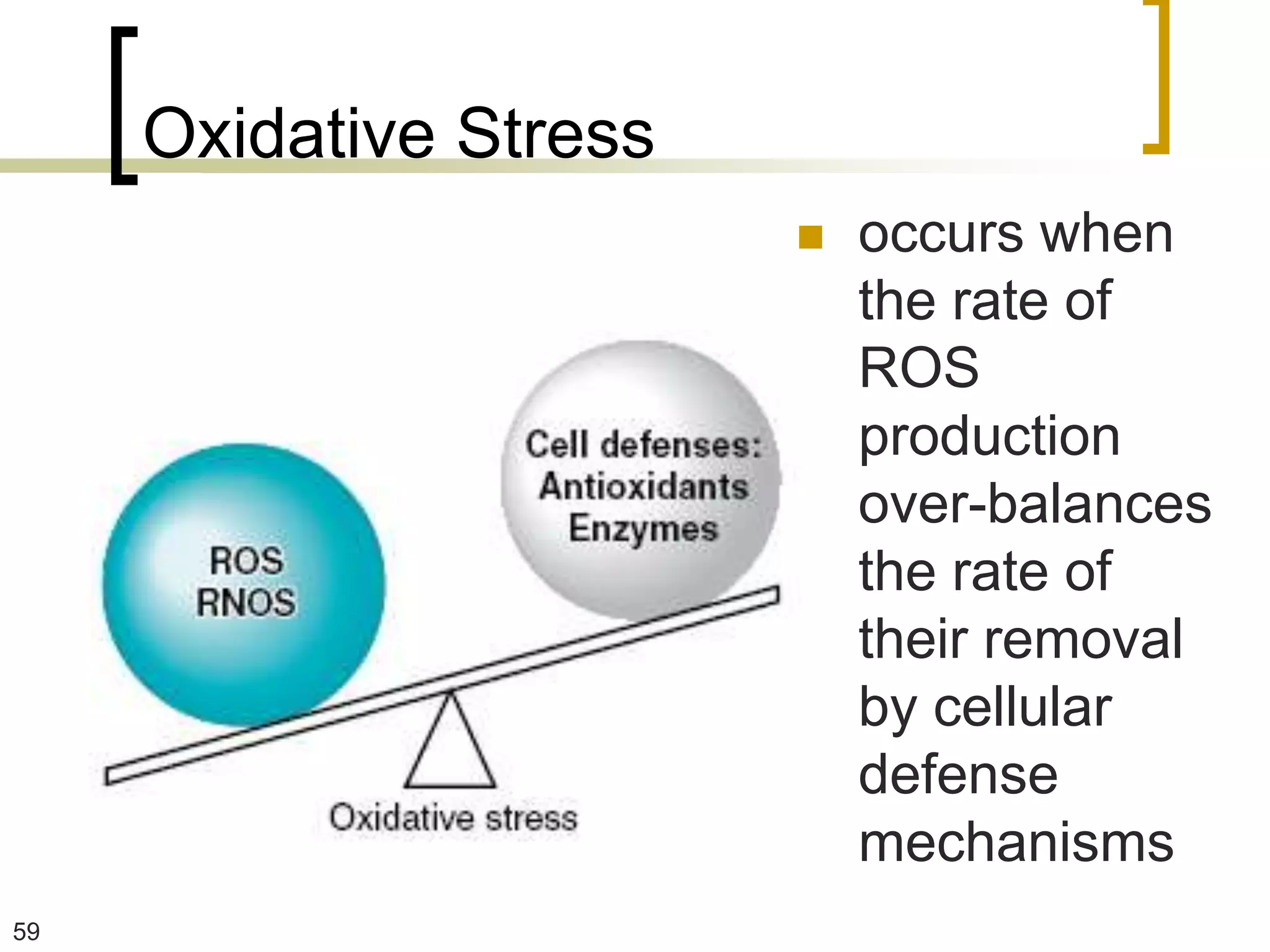 Oxidative Stress
                           occurs when
                            the rate of
                            ROS
                            production
                            over-balances
                            the rate of
                            their removal
                            by cellular
                            defense
                            mechanisms
59
 