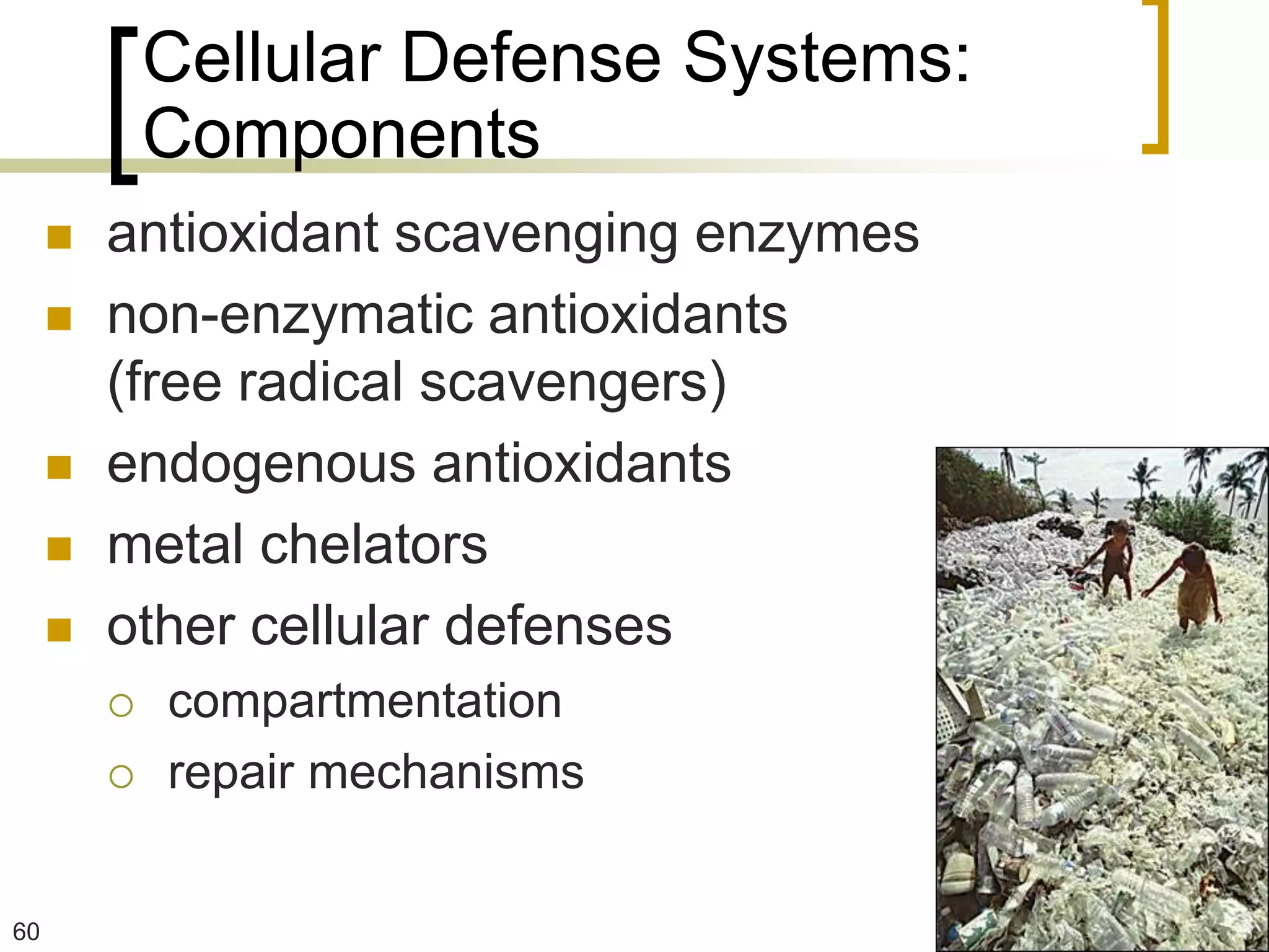 Cellular Defense Systems:
             Components
        antioxidant scavenging enzymes
        non-enzymatic antioxidants
         (free radical scavengers)
        endogenous antioxidants
        metal chelators
        other cellular defenses
            compartmentation
            repair mechanisms


60
 