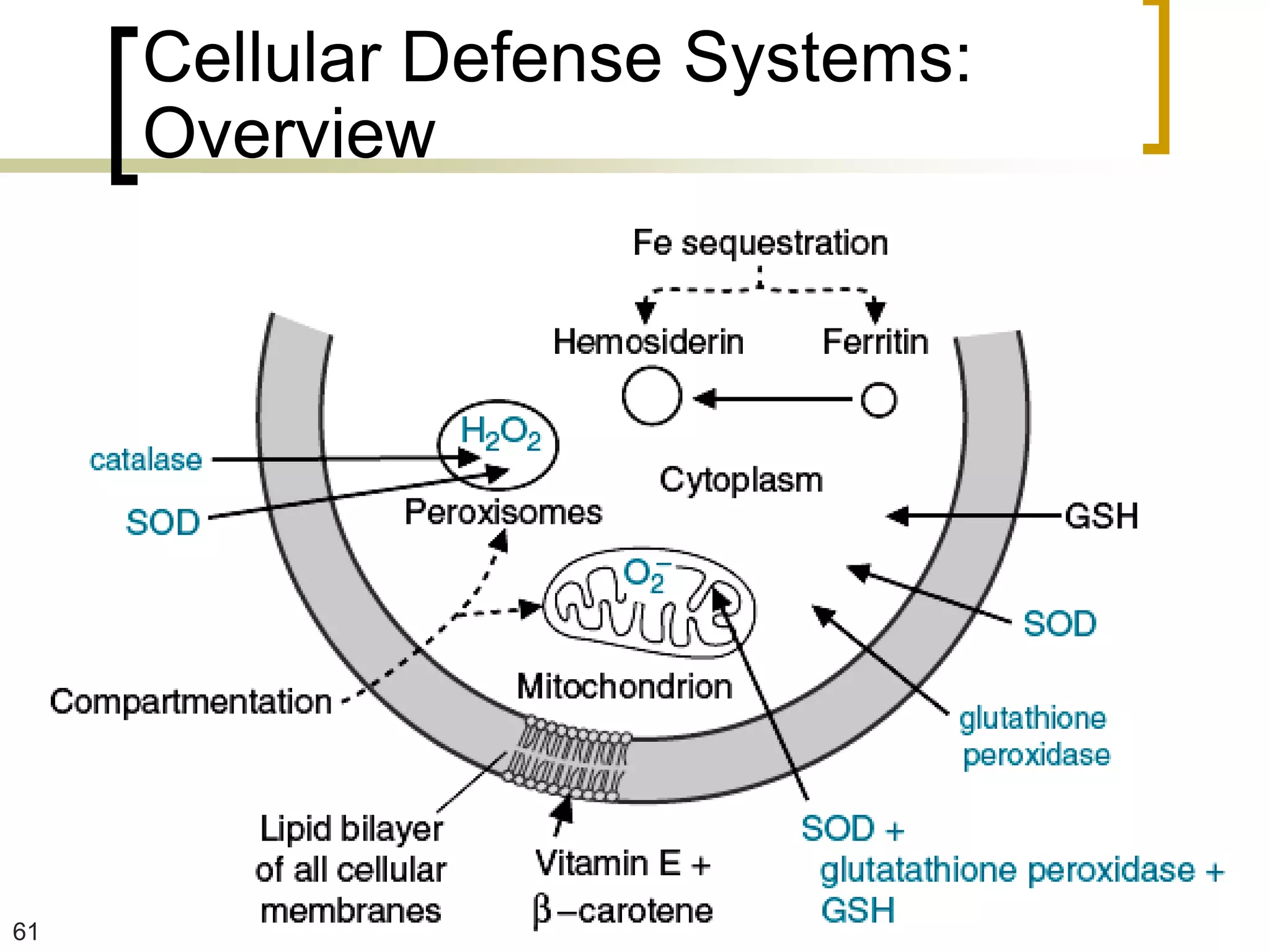Cellular Defense Systems:
     Overview




61
 