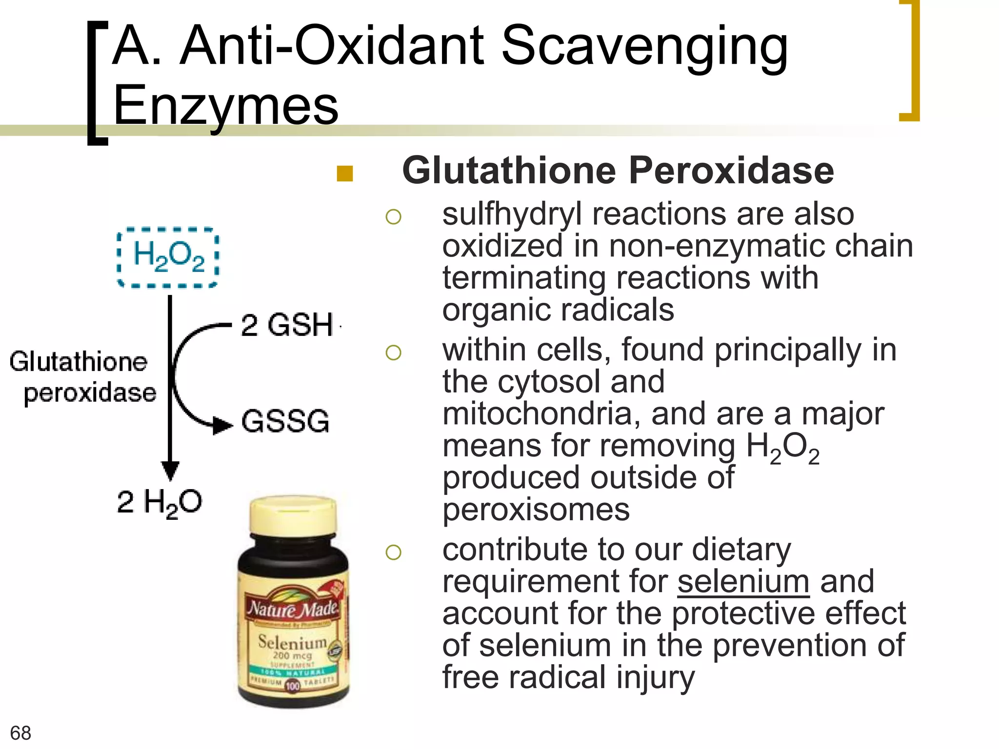 A. Anti-Oxidant Scavenging
     Enzymes
                Glutathione Peroxidase
                    sulfhydryl reactions are also
                     oxidized in non-enzymatic chain
                     terminating reactions with
                     organic radicals
                    within cells, found principally in
                     the cytosol and
                     mitochondria, and are a major
                     means for removing H2O2
                     produced outside of
                     peroxisomes
                    contribute to our dietary
                     requirement for selenium and
                     account for the protective effect
                     of selenium in the prevention of
                     free radical injury
68
 