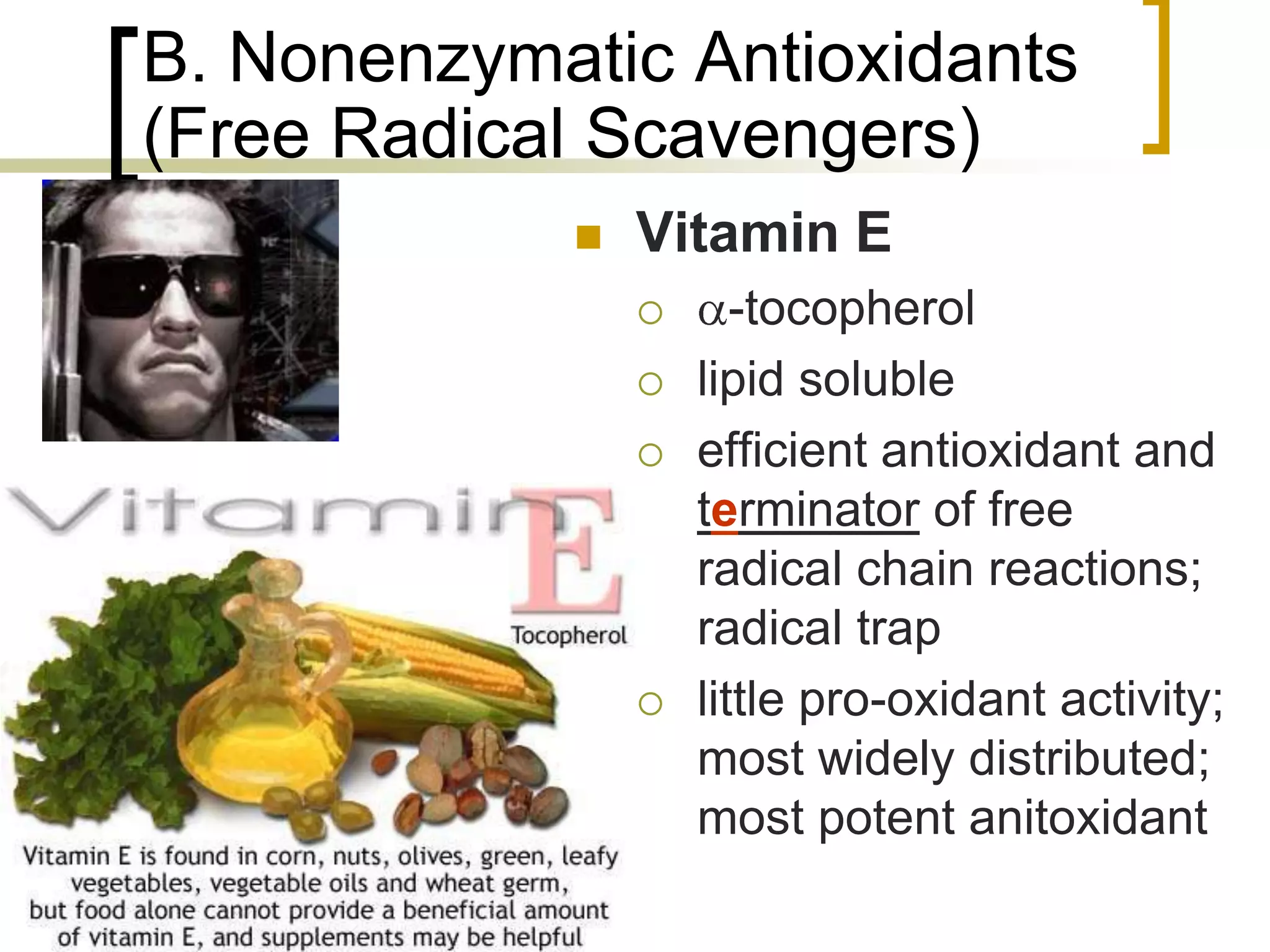 B. Nonenzymatic Antioxidants
     (Free Radical Scavengers)
                    Vitamin E
                           -tocopherol
                        lipid soluble
                        efficient antioxidant and
                         terminator of free
                         radical chain reactions;
                         radical trap
                        little pro-oxidant activity;
                         most widely distributed;
                         most potent anitoxidant

73
 