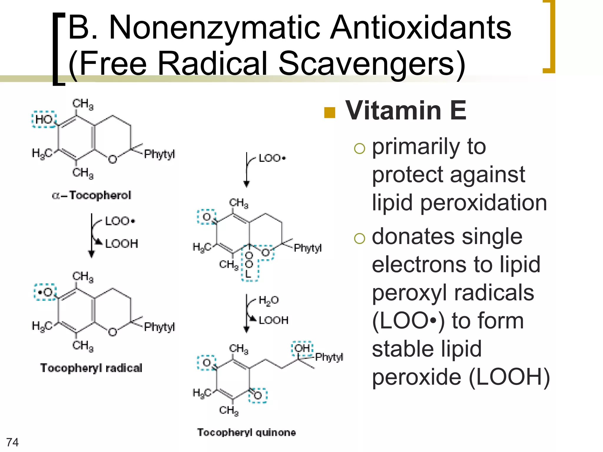 B. Nonenzymatic Antioxidants
     (Free Radical Scavengers)
                        Vitamin E
                          primarily to
                           protect against
                           lipid peroxidation
                          donates single
                           electrons to lipid
                           peroxyl radicals
                           (LOO•) to form
                           stable lipid
                           peroxide (LOOH)

74
 