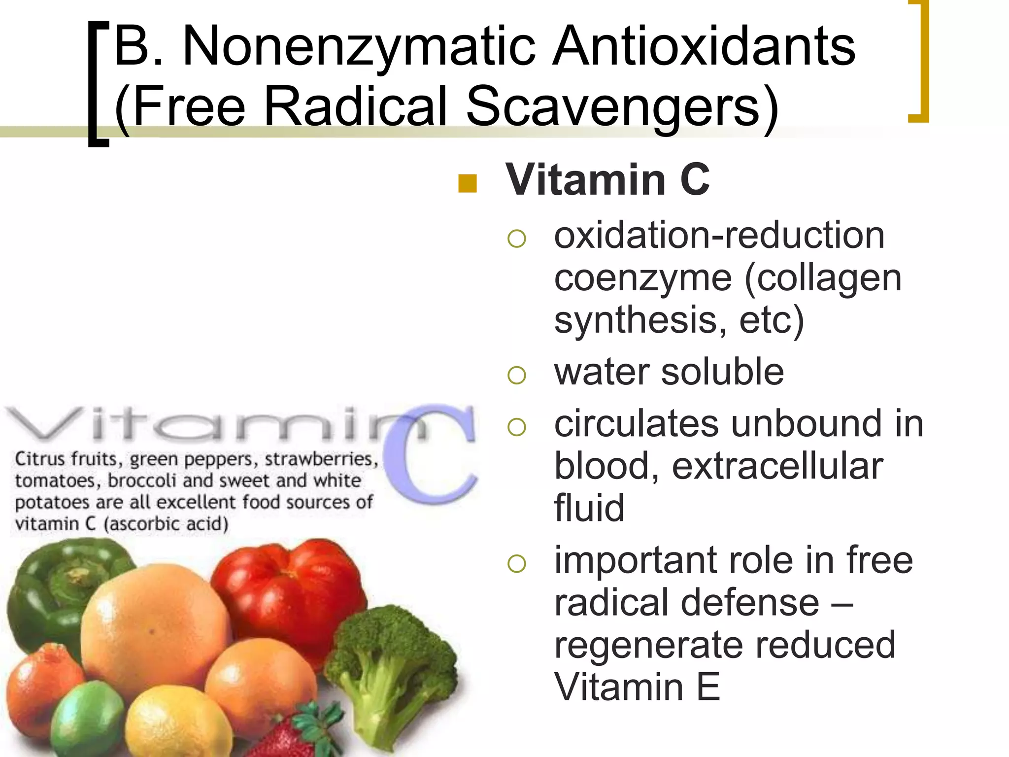 B. Nonenzymatic Antioxidants
     (Free Radical Scavengers)
                    Vitamin C
                        oxidation-reduction
                         coenzyme (collagen
                         synthesis, etc)
                        water soluble
                        circulates unbound in
                         blood, extracellular
                         fluid
                        important role in free
                         radical defense –
                         regenerate reduced
                         Vitamin E
75
 