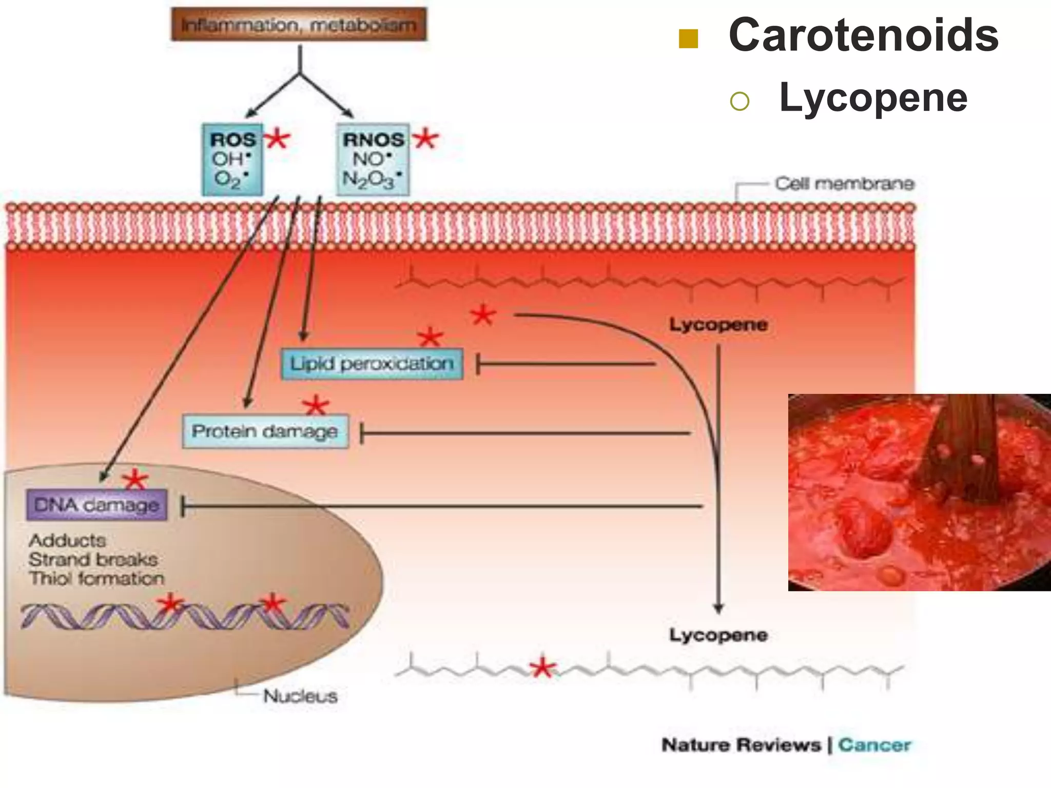    Carotenoids
       Lycopene
 