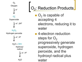 O2: Reduction Products
          O2 is capable of
           accepting 4
           electrons, reducing it to
           water
          4-electron reduction
           steps for O2
           progressively generate
           superoxide, hydrogen
           peroxide, and the
           hydroxyl radical plus
12         water
 