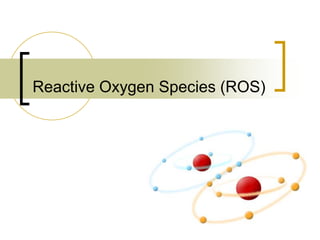 Reactive Oxygen Species (ROS)
 