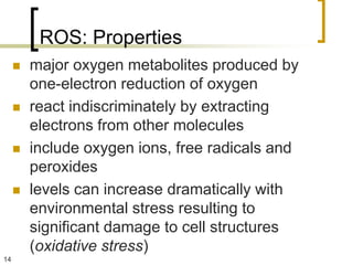 ROS: Properties
        major oxygen metabolites produced by
         one-electron reduction of oxygen
        react indiscriminately by extracting
         electrons from other molecules
        include oxygen ions, free radicals and
         peroxides
        levels can increase dramatically with
         environmental stress resulting to
         significant damage to cell structures
         (oxidative stress)
14
 