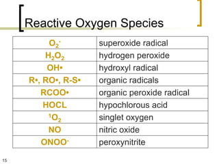Reactive Oxygen Species
          O2-        superoxide radical
         H2O2        hydrogen peroxide
          OH•        hydroxyl radical
     R•, RO•, R-S•   organic radicals
        RCOO•        organic peroxide radical
         HOCL        hypochlorous acid
          1O         singlet oxygen
            2
          NO         nitric oxide
        ONOO-        peroxynitrite
15
 