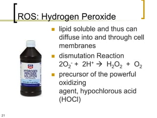 ROS: Hydrogen Peroxide
               lipid soluble and thus can
                diffuse into and through cell
                membranes
               dismutation Reaction
                2O2- + 2H+  H2O2 + O2
               precursor of the powerful
                oxidizing
                agent, hypochlorous acid
                (HOCl)

21
 