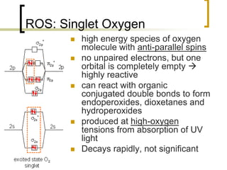 ROS: Singlet Oxygen
               high energy species of oxygen
                molecule with anti-parallel spins
               no unpaired electrons, but one
                orbital is completely empty 
                highly reactive
               can react with organic
                conjugated double bonds to form
                endoperoxides, dioxetanes and
                hydroperoxides
               produced at high-oxygen
                tensions from absorption of UV
                light
               Decays rapidly, not significant
26
 