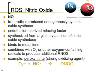 ROS: Nitric Oxide
        NO
        free radical produced endogenously by nitric
         oxide synthase
        endothelium derived relaxing factor
        synthesized from arginine via action of nitric
         oxide synthetase
        binds to metal ions
        combines with O2 or other oxygen-containing
         radicals to produce additional RNOS
        example: peroxynitrite (strong oxidizing agent)
               O2-• + NO•               ONOO-
27
 