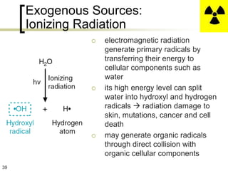 Exogenous Sources:
     Ionizing Radiation
                  electromagnetic radiation
                   generate primary radicals by
                   transferring their energy to
                   cellular components such as
                   water
                  its high energy level can split
                   water into hydroxyl and hydrogen
                   radicals  radiation damage to
                   skin, mutations, cancer and cell
                   death
                  may generate organic radicals
                   through direct collision with
                   organic cellular components
39
 