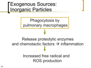 Exogenous Sources:
     Inorganic Particles

             Phagocytosis by
          pulmonary macrophages


          Release proteolytic enzymes
     and chemotactic factors  inflammation

          Increased free radical and
               ROS production
45
 