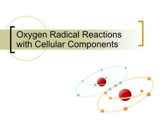 Oxygen Radical Reactions
with Cellular Components
 