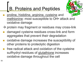 B. Proteins and Peptides
      proline, histidine, arginine, cysteine and
       methionine: most susceptible to OH• attack and
       oxidative damage
      protein may fragment or residues may cross-link
      damaged cysteine residues cross-link and form
       aggregates that prevent their degradation
      oxidative damage increases the susceptibility of
       other proteins to proteolytic digestion
      free radical attack and oxidation of the cysteine
       sulfhydryl residues of glutathione increases
       oxidative damage throughout the cell
56
 