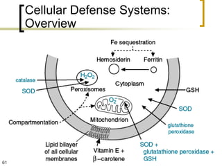 Cellular Defense Systems:
     Overview




61
 