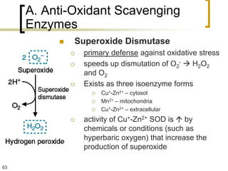 A. Anti-Oxidant Scavenging
     Enzymes
             Superoxide Dismutase
                 primary defense against oxidative stress
                 speeds up dismutation of O2-  H2O2
                  and O2
                 Exists as three isoenzyme forms
                       Cu+-Zn2+ – cytosol
                       Mn2+ – mitochondria
                       Cu+-Zn2+ – extracellular
                 activity of Cu+-Zn2+ SOD is  by
                  chemicals or conditions (such as
                  hyperbaric oxygen) that increase the
                  production of superoxide

63
 