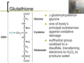 Glutathione
                       -glutamylcysteinyl-
                       glycine
                      one of body’s
                       principal substances
                       against oxidative
                       damage
                      sulfhydryl group
                       oxidized to a
                       disulfide, transferring
                       electrons to H2O2 to
                       produce water
66
 