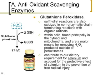 A. Anti-Oxidant Scavenging
     Enzymes
                Glutathione Peroxidase
                    sulfhydryl reactions are also
                     oxidized in non-enzymatic chain
                     terminating reactions with
                     organic radicals
                    within cells, found principally in
                     the cytosol and
                     mitochondria, and are a major
                     means for removing H2O2
                     produced outside of
                     peroxisomes
                    contribute to our dietary
                     requirement for selenium and
                     account for the protective effect
                     of selenium in the prevention of
                     free radical injury
68
 