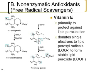 B. Nonenzymatic Antioxidants
     (Free Radical Scavengers)
                        Vitamin E
                          primarily to
                           protect against
                           lipid peroxidation
                          donates single
                           electrons to lipid
                           peroxyl radicals
                           (LOO•) to form
                           stable lipid
                           peroxide (LOOH)

74
 