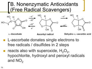 B. Nonenzymatic Antioxidants
          (Free Radical Scavengers)




        L-ascorbate donates single electrons to
         free radicals / disulfides in 2 steps
        reacts also with superoxide, H2O2,
         hypochlorite, hydroxyl and peroxyl radicals
         and NO2
76
 
