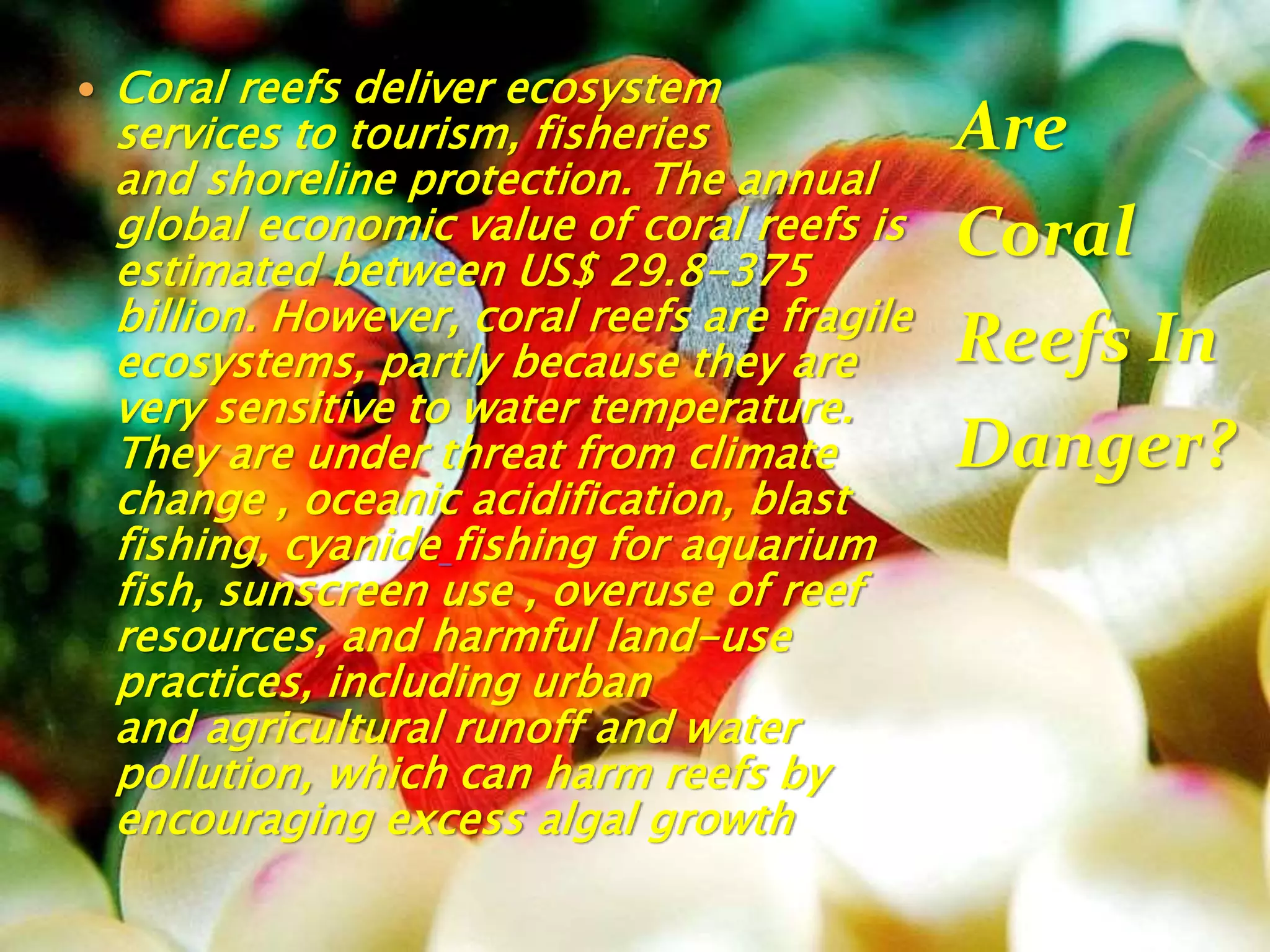 Thumbnail for Low Power Sensitive Testimonials From Use O N Carbonificiers On Saltwater Reefs