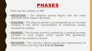 PHASES
There are four phases of ARF
• INITIATION : The initiation period begins with the initial
and ends when oliguria develops
• OLIGURIA : The oliguria period is accompanied by an increase
increase in the serum concentration of substances usually
excreted by kidneys
• DIURESIS : The diuresis period is marked by a gradual increase
increase in urine output, which signals that glomerular
filtration has started to recover
• RECOVERY : The recovery period signals the improvement of
renal function and may take 3 to 12 months
 