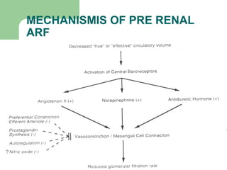 MECHANISMIS OF PRE RENAL
ARF
 