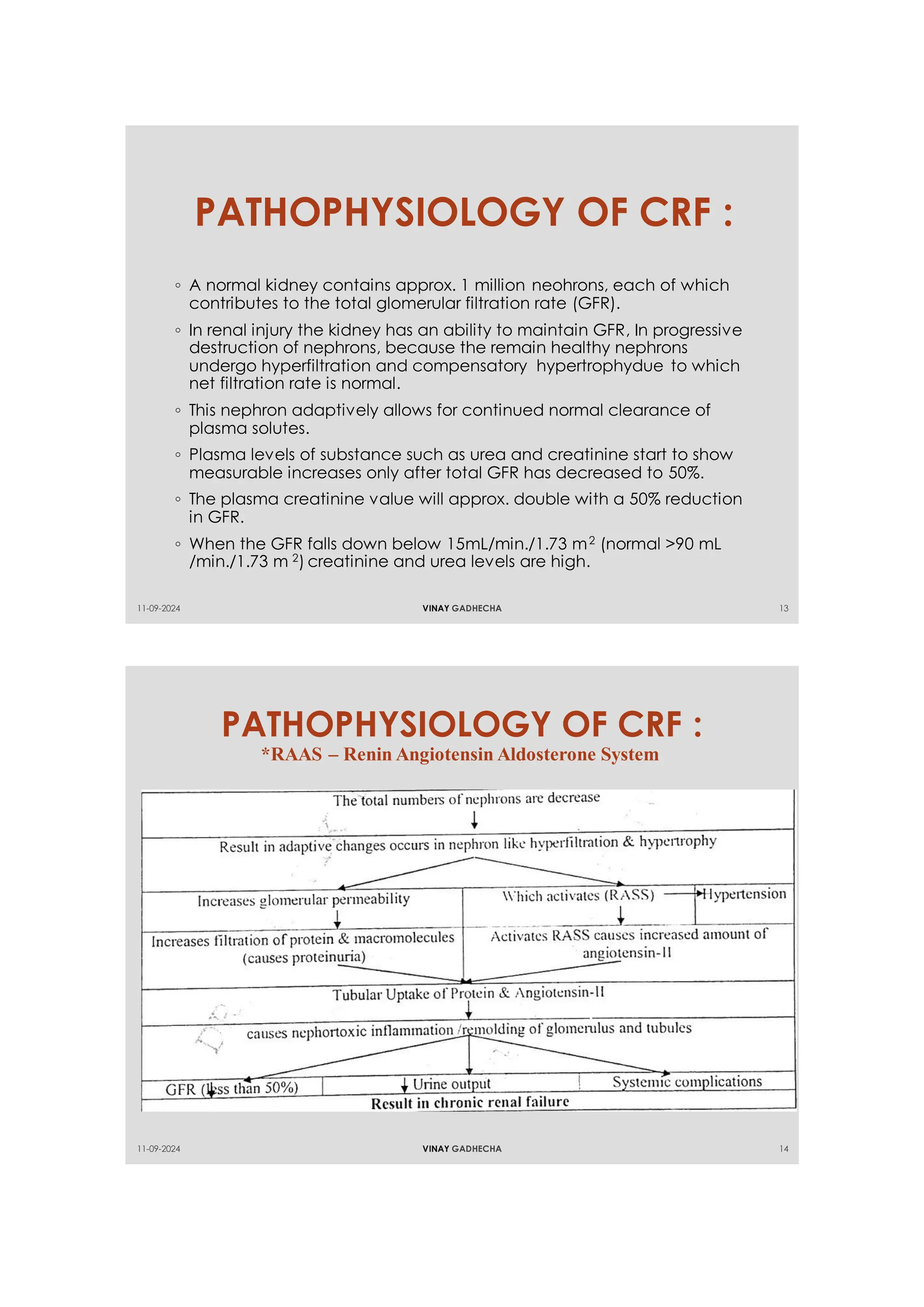 ACUTE AND CHRONIC RENAL FAILURE PATHOPHYSIOLOGY | PDF