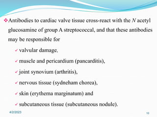 Antibodies to cardiac valve tissue cross-react with the N acetyl
glucosamine of group A streptococcal, and that these antibodies
may be responsible for
 valvular damage,
 muscle and pericardium (pancarditis),
 joint synovium (arthritis),
 nervous tissue (sydneham chorea),
 skin (erythema marginatum) and
 subcutaneous tissue (subcutaneous nodule).
4/2/2023 10
 