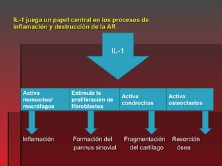 IL-1 juega un papel central en los procesos de inflamación y destrucción de la AR <ul><li>Inflamación  Formación del  Frag...