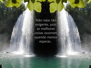 Não sejas tão exigente, pois as melhores coisas ocorrem quando menos esperas.  