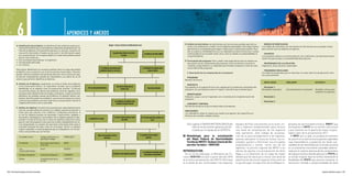 6                                                                  APENDICES Y ANEXOS
                                                                                                                               Imagen 1: Causas y Efectos de la Deforestación Local                                          D. Análisis de alternativas: las alternativas son las acciones posibles para dar so-        MEDIOS DE VERIFICACION
               A. Identificación del problema: la identificación del problema implica pri-                                                                                                                                      lución a los problemas y cumplir con los objetivos planteados. Esta etapa implica      Los medios de verificación son las fuentes de información que se pueden utilizar
                  mariamente definir que se entiende por problemas de planificación. Se                                                                                                                                         plantearlas y el analizarlas para llegar a seleccionar la alternativa posible. Para    para verificar que los objetivos se lograron.
                  trata de problemas instrumentales que para su solución requieren de                                                                                                                                           ello se evalúa su factibilidad técnica y su viabilidad económica financiera. A estos
                  una acción interventora. Pueden ser de acción o de información según                                               Se gasta menos dinero en servicios                   La madera es de mala calidad.         criterios básicos se le puede sumar otros como la calidad, la sustentabilidad, la        SUPUESTO
                  sus características. En el espacio público el origen del problema puede                                                        de salud.                                                                      competitividad etc..                                                                   Los supuestos indican los acontecimientos, las condiciones o las decisiones impor-
                  asumir tres instancias:                                                                                                                                                                                                                                                                              tantes necesarias para la sustentabilidad del programa.
               •	 Una	necesidad	observada	por	el	organismo                                                                                                                                                                   E. Formulación del programa: Para cumplir esta etapa del proceso se realiza una
               •	 Una	demanda	efectuada                                                                                                                                                                                         descripción de los componentes del programa. Esto nos permite una lectura                RESPONSABLE DE LA EJECUCION
               •	 Un	conflicto                                                                                                                                                                                                  completa, asegurándonos su viabilidad y permitiendo visualizar el nivel de cohe-       Organismo, área y persona responsable
                                                                                                                 Los habitantes del poblado están                                      Los habitantes del poblado deben         rencia interno del programa.
               Para lograr identificarlo es necesario analizar tanto el origen del posible                       plantando árboles en sus tierras.                                            comprar madera.                                                                                                            PROGRAMAS VINCULADOS
               problema como su entorno y el rol de los actores involucrados. Para ello                                                                                                                                        5. Descripción de los componentes de un programa                                        Son todos los programas que se relacionan con este, tanto los de aplicación como
               pueden utilizarse distintas herramientas técnicas como la lluvia de idea,                                                                                                                                                                                                                               los instrumentales.
               la lista de comprobación, planilla de relevamiento y la matriz de rol de                                                                                                                                        PROGRAMA
               actores que permiten identificar problemas.                                                                                                                                                                   Nombre del mismo.
                                                                                                                                                                                                                                                                                                                         RESULTADOS               INDICADOR                        SUPUESTO
               B. Análisis de Problemas: usualmente se utiliza el árbol de problemas                                                                                                                                            PROPOSITO
                  como instrumento técnico. Es importante recordar que el problema                                                         Hay menos madera para la                                                          El propósito es el impacto directo a ser logrado por los productos resultantes del          Resultado 1:
                  identificado no se expresa como la ausencia de solución. La técnica        El río se está poniendo lodoso.                                                                   Hay menos animales.
                                                                                                                                                construcción.                                                                programa. Es una hipótesis sobre el impacto o beneficio que se desea lograr.              Resultados esperados       Comportamientos resultantes      Variables críticas para
                  nos permite evaluar los efectos del problema, tanto las vigentes como                                                                                                                                                                                                                                                                                            sustentar el programa
                  las potenciales identificando los riesgos y amenazas. Luego nos facilita                                                                                                                                     BENEFICIARIOS
                  identificar las posibles causas del problema. Al analizar ambos cua-                                                                                                                                       Población, grupo o sector impactado como resultado de la implementación del                 Resultado 2:
                  drantes del árbol podemos establecer una secuencia lógica de causas                                                                                                                                        programa.
                  y efectos del problema y de este modo tener una percepción real de la                                                 Los habitantes del poblado están                                                                                                                                                 Resultado 3:
                  magnitud del mismo y de su prioridad.                                                                                   cortando el bosque comunal.                                                          HORIZONTE TEMPORAL
                                                                                                                                                                                                                             Periodo de tiempo en el que se desarrollará el programa.
               C. Análisis de objetivos: Se parte de la premisa que cada problema tiene
                  más de una alternativa de solución y el objetivo expresa la decisión a                                                                                                                                     INDICADORES:
                  tomar para dar solución a los conflictos o problemas prioritarios. A                                                                                                                                       Los indicadores miden el impacto que tendrá el programa. Son específicos en
                  su vez los objetivos pueden ser generales o particulares, globales o                                                                                                                                       términos de cantidad, calidad y tiempo.
                  sectoriales, estratégicos o funcionales. De un objetivo general se des-                                              Las tierras bajan producen menos               Los terrenos agrícolas privados son
                                                                                              La población ha crecido.
                  prenden a modo de brazos de un árbol los objetivos específicos tanto                                                             que antes.                                       caros.
                  para el nivel de programa como para los niveles subsiguientes así va-
                  mos desgranando un conjunto de soluciones coherentes tanto para el                                                                                                                                           6) El capítulo 6 (ANEXO METODOLÓGICO) del                basales del Plan consistentes en la visión, mi-             gionales de oportunidad turística, (MROT) que
                  horizonte temporal de largo como de corto plazo. Definir un objetivo                                                                                                                                               informe es de carácter general y fue for-          sión y objetivos fundamentales para encarar                 acompañan al MFOT en su versión más actual
                  implica responder a varias preguntas que se compadecen con los dis-                                                                                                                                                mulado por el equipo de la UCPFETS.                una tarea de actualización de los aspectos                  y que revierten en el aporte de mayor origina-
                  tintos componentes que los forman.
                                                                                                                                                                                                                                                                                        más operativos. Este trabajo de actualiza-                  lidad y valor de la actualización 2011.
                                                                                                                                                                                Los granjeros locales utilizan
                   El estado futuro                     Imagen del futuro al     PARA QUE?
                                                                                                             Nunca se le permite a la tierra
                                                                                                                                                                                         químicos.
                                                                                                                                                                                                                            b) metodología para la actualización                        ción da un gran protagonismo a las regiones,                   El MFOT, por su lado, se actualiza al momento
                                                                                                                      descansar.
                                                        que aspiro llegar                                                                                                                                                      del mapa Federal de oportunidades                        quienes abrazaron la tarea de revisar sus re-               de asumir en su estructura los aportes regionales
                   El método                            El proceso que lleva a   QUE?                                                                                                                                          turísticas (mFot) (subsecretaría de de-                  sultados, ajustar y reformular sus encuadres                cuya trascendencia y proyección los hacen sus-
                                                        la acción                                                                                                                                                              sarrollo turístico – mintur)                             programáticos y revisar -como uno de los                    ceptibles de ser absorbidos por la escala nacional
                   Las                                  Actor                    QUIEN?                                                                                                                                                                                                 objetivos- la porción regional del MFOT a los               en un umbral de crecimiento razonable, determi-
                   responsabilidades
                                                                                                                                                                                       Los habitantes del poblado ahora
                                                                                                                                                                                                                            introduccion.                                               efectos de aportar a la actualización de dicho              nado por el carácter perenne de los componentes
                   El plazo temporal                    Horizonte temporal       CUANDO?
                                                                                                                                      El gobierno está regalando químicos.               sólo producen monocultivos.          En su rol de liderazgo, el Ministerio de Tu-              Mapa y a la obtención de un mapa de mayor                   del espacio turístico identificados por el PFETS en
                                                                                                                                                                                                                            rismo (MINTUR) encarar a partir del año 2010                detalle que les diera pie a iniciar una tarea de            su versión original. Aquí se verifica claramente la
                   Metas                                Cuantificación de la     CUANTO?
                                                        acción                                                                                                                                                              la primera actualización del PFETS 2016 bajo                planificación de escala regional. Esta visión es            flexibilidad del PFETS que procura conservar la
                                                                                                                                                                                                                            el acuerdo de dar continuidad a los aspectos                la que da lugar a la aparición de los Mapas re-             estructura tramada y proporcionalidad de base


290 / Plan Federal Estratégico de Turismo Sustentable                                                                                                                                                                                                                                                                                                                                      Capítulo 6: Apéndices y Anexos / 291
 