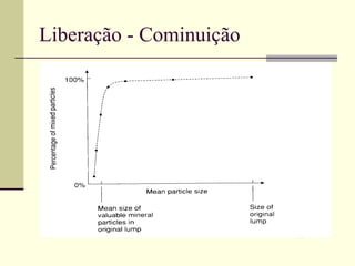 Liberação - Cominuição
 