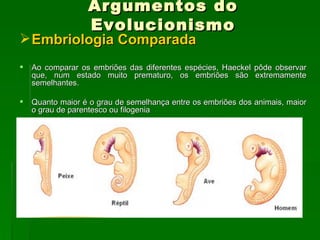 Argumentos do Evolucionismo Embriologia Comparada Ao comparar os embriões das diferentes espécies, Haeckel pôde observar que, num estado muito prematuro, os embriões são extremamente semelhantes.  Quanto maior é o grau de semelhança entre os embriões dos animais, maior o grau de parentesco ou filogenia  