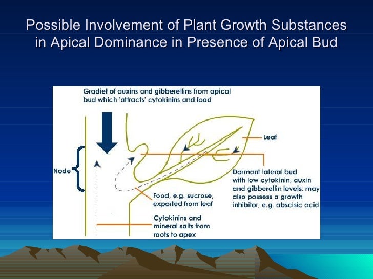 GROWTH SUBSTANCES AND ITS ROLES IN VEGETABLE CROP GROWTH