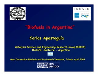 “Biofuels in Argentina”

                  Carlos Apesteguía

    Catalysis Science and Engineering Research Group (GICIC)
                  INCAPE, Santa Fe - Argentina


Next Generation Biofuels and bio-based Chemicals, Trieste, April 2009
 