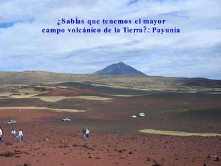 ¿SabÍas que tenemos el mayor campo volcánico de la Tierra?: Payunia  