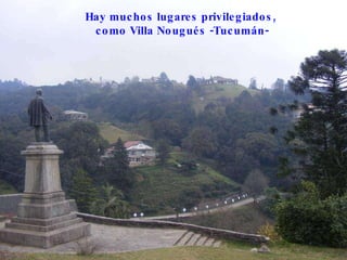 Hay muchos lugares privilegiados, como Villa Nougués -Tucumán- 