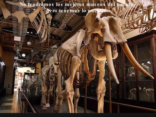 No tendremos los mejores museos del mundo,  pero tenemos lo nuestro.   