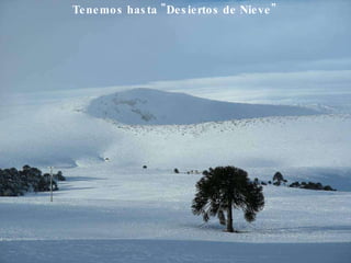 Tenemos hasta "Desiertos de Nieve"   