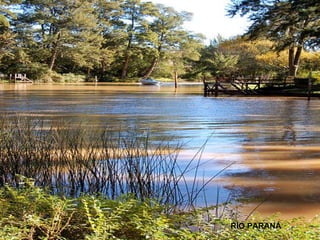 RÍO PARANÁ 