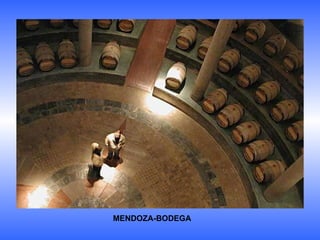 MENDOZA-BODEGA 
