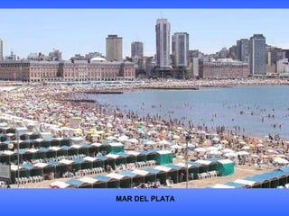 MAR DEL PLATA 