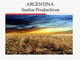 ARGENTINA  Suelos Productivos 