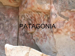 PATAGONIA
 