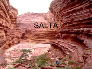 SALTA
 