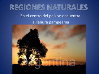 En el centro del país se encuentra
la llanura pampeama