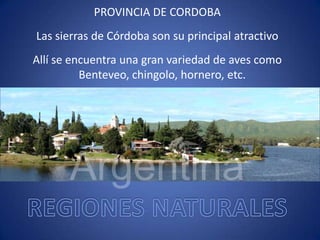 PROVINCIA DE CORDOBA
Las sierras de Córdoba son su principal atractivo
Allí se encuentra una gran variedad de aves como
Benteveo, chingolo, hornero, etc.