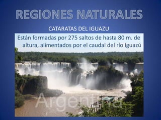 CATARATAS DEL IGUAZU
Están formadas por 275 saltos de hasta 80 m. de
altura, alimentados por el caudal del río Iguazú